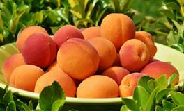 自尊心强的星座有哪些，他们心比天高？