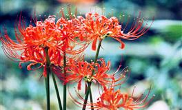 2021年财富运势最旺的前5的星座