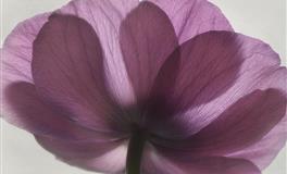 随性而往，随遇而安，一切随缘，独一无二的星座