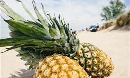 心理测试：你最想扔掉哪双鞋？测你的人缘怎么样！很准哦