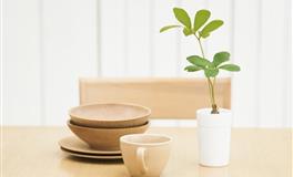 有钱了，就容易变坏的星座男