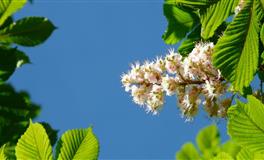 看似不合却互相吸引的星座cp，在一起