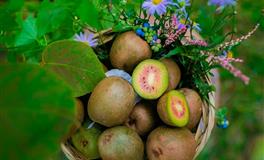 分手之后，还依然会对前任久久不忘的三大星座