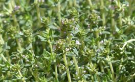 活得相当“高级”的3大星座：精致有品，由内而外散发着优秀