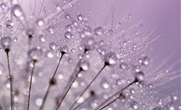 最塔罗每日运势2020年9月17日