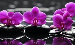 分手后不拖泥带水的星座，对感情干脆利落，不会优柔寡断