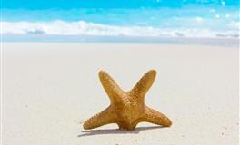 盘点近期财运飙升的星座，实力羡慕