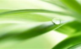 爱就爱得轰轰烈烈，离开就坦坦荡荡，敢爱也敢恨的星座