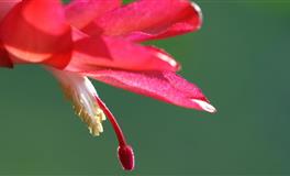 情商高的三个生肖男，说话做事顾及他人的感受