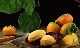 有了新欢，立刻忘记旧爱的星座