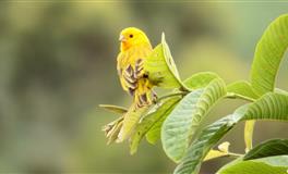 分手后表面很平静的3星座，看似坚强，内心难熬，忘记更难