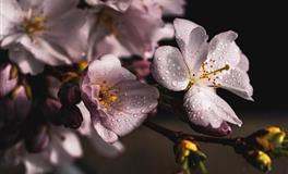 在爱情中，最能“狠下心”的星座