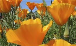 人暖、心更暖的星座男，懂得照顾、包容恋人，处过的都想嫁给他们