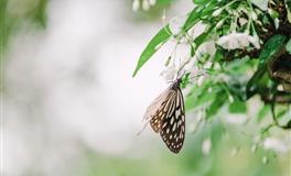 李云天今日生肖运势2020年10月12日