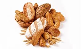 宋韶光2021年属猴人运程 牛年属猴人每月运势详解