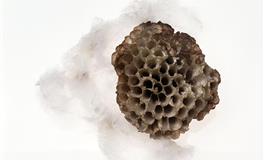 易鑫2020年11月11日生肖运势