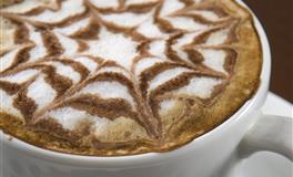 苏珊米勒一周星座运势（11.23-11.29）