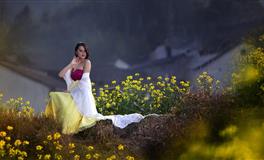 易鑫2020年12月8日生肖运势