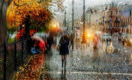 苏珊米勒每日运势2020年12月8日