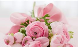 苏珊米勒2021年1月天蝎座运势完整版