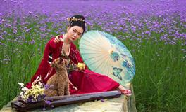 神叨酱3月12日心灵运势指引