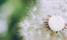 苏珊米勒每日运势2021年3月15日