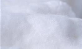 苏珊米勒每日运势2021年5月24日