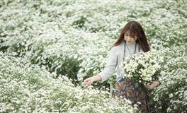 2021年越走动越好运的生肖