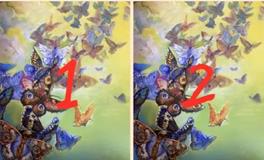 神叨酱6月8日心灵运势指引