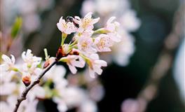 罗伯2021年12星座的心灵指引之一