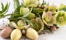 夏日桃花运排行榜~你的星座排在第几？