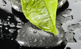 你的月亮星座代表着什么？（土象篇）