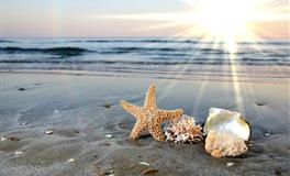 苏珊米勒2021年6月水瓶座运势完整版