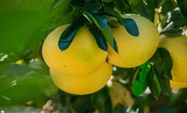 苏珊米勒每日运势2021年7月13日