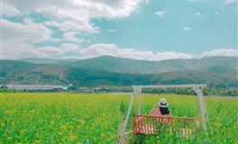 唐绮阳2021年狮子座开运指南