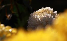 苏珊米勒每日运势2021年7月14日