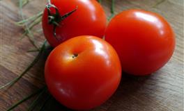 苏珊米勒每日运势2021年7月23日