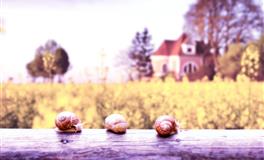 古易方每日生肖运势2021年7月21日