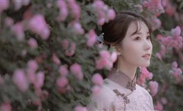 熊神进生肖狗一周运势（8月30日-9月5日）