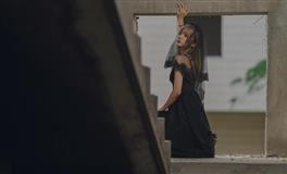 百变巫女金牛座一周运势8.23-8.29