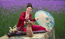 羲邑师姐生肖鸡一周运势( 8月23日-8月29日)