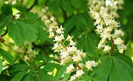 9月职场运好，把握机会咸鱼翻身的4个星座