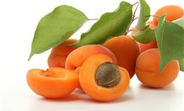 Hint占星巨蟹座一周运势参考及开运指南