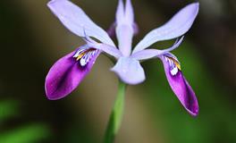 闹闹女巫店处女座本周运势(0830-0905)