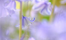 Lunita天蝎座一周运势8.23-8.29