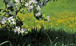 判答占星天蝎座一周运势（8.30-9.5）