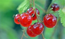 狂月天时一周双鱼座运势8.23-8.29