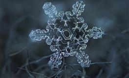 艾菲尔金牛座一周运势8.23-8.29