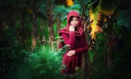 董易林2021年8月24日生肖运势