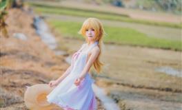 花甜狮子座一周运势（9.13-9.19）